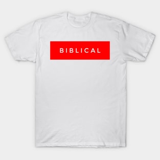 Biblical T-Shirt